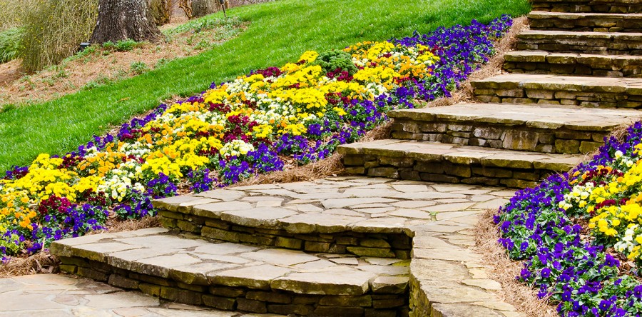 Stone Sidewalk
